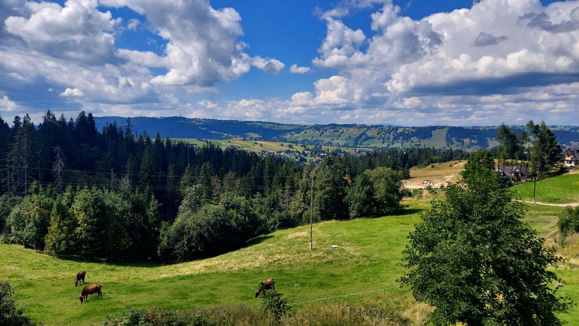 Willa Posrednia Zakopane Ngoại thất bức ảnh