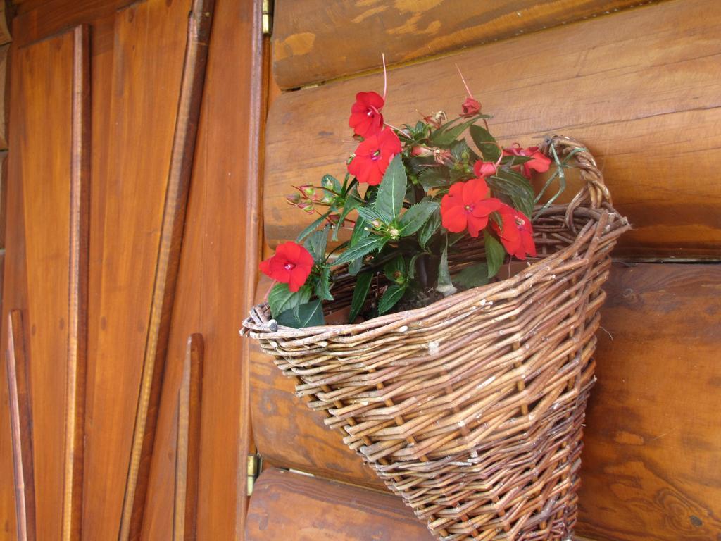Willa Posrednia Zakopane Ngoại thất bức ảnh
